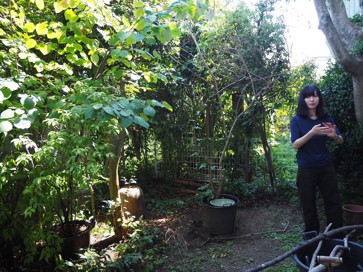 Natsumi Kobayashi - Gallery Image