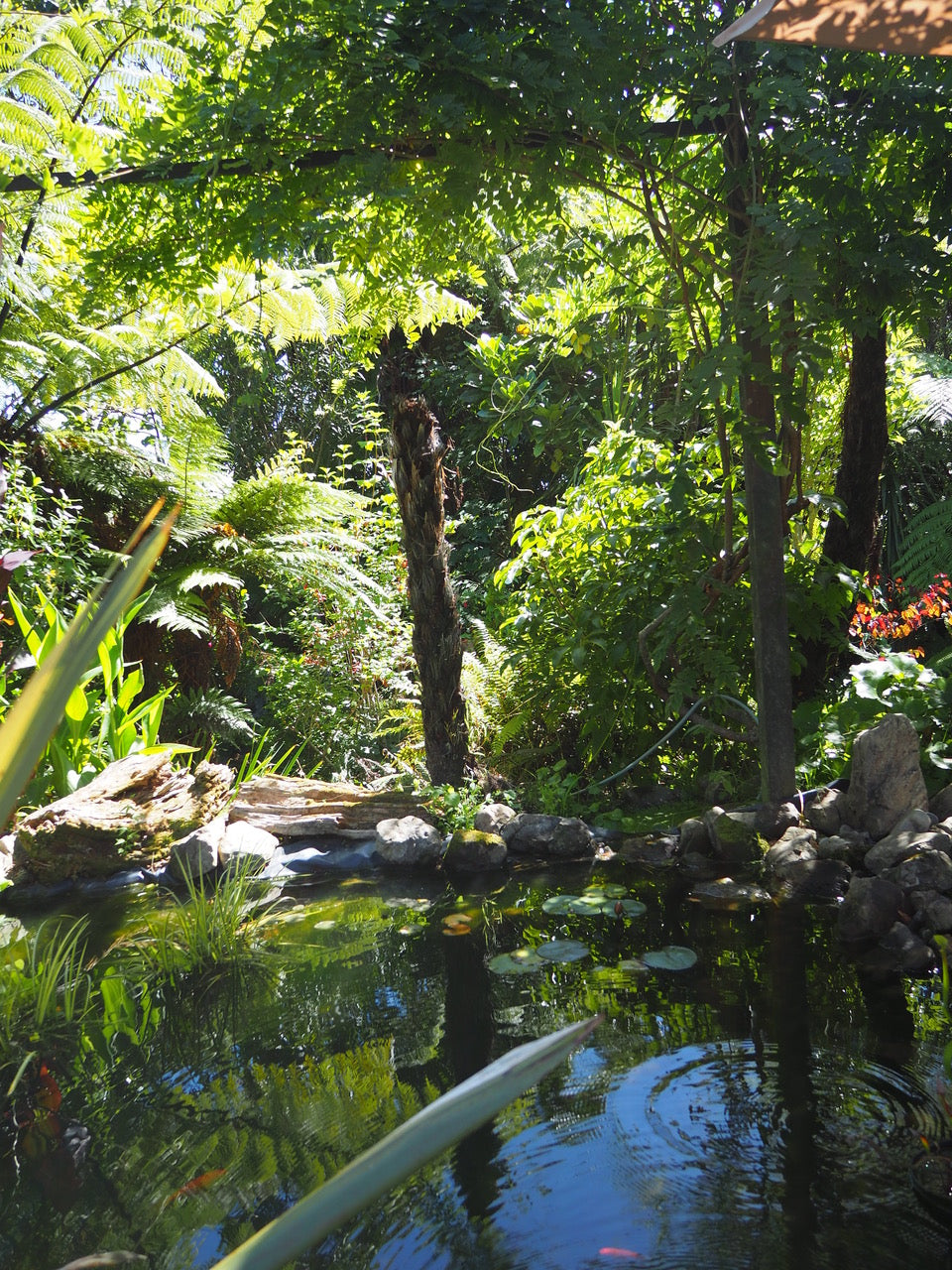 In The Hills by Camille Paloma Walton & Michelle Walton - Gallery Image