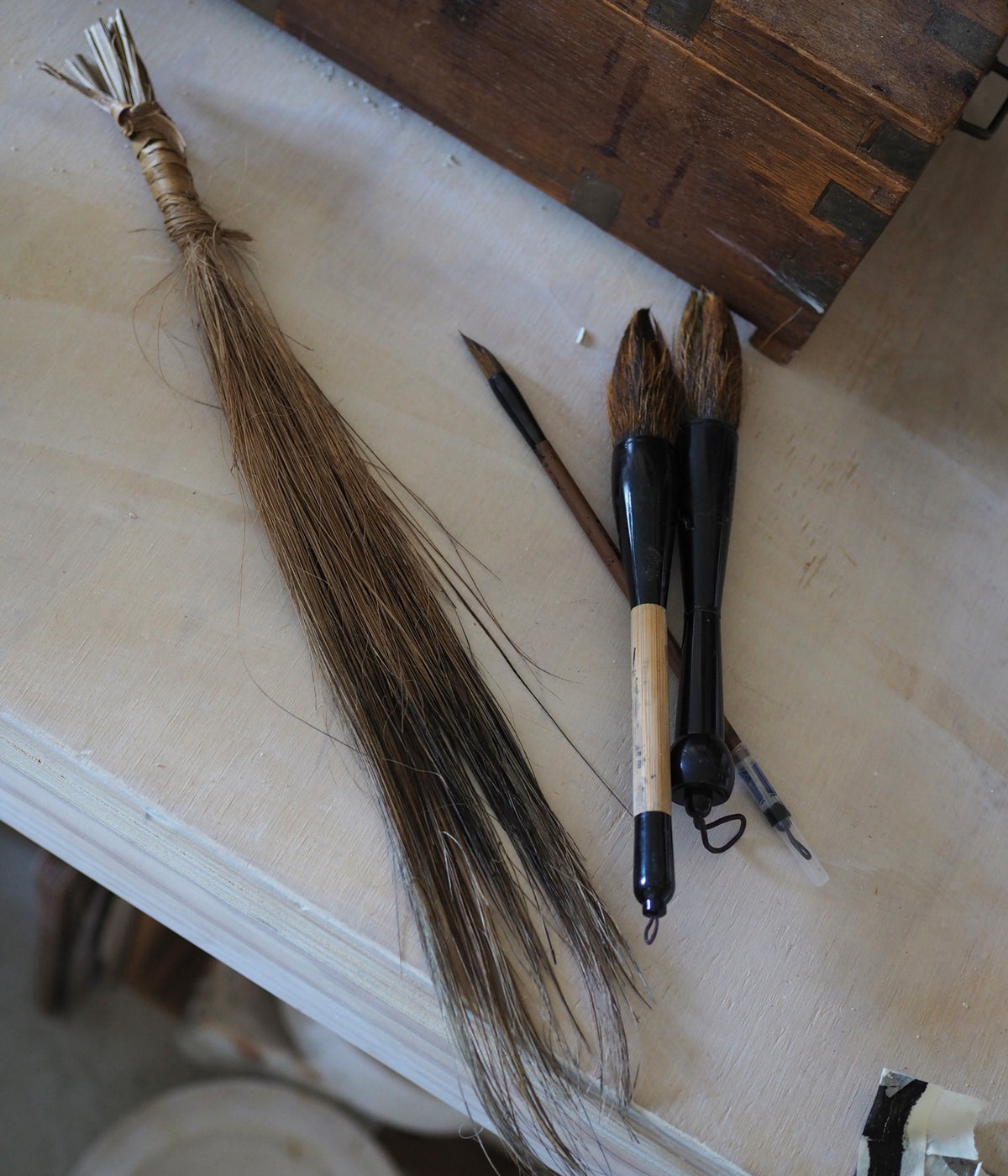 Make your Own Brush with Cabbage Tree Laves & Ink Drawing - Tutor by Jane Burn - Gallery Image