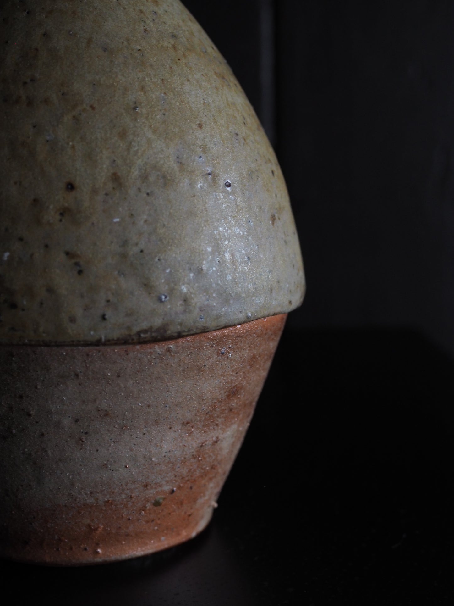 Bottle vase ver.1,ver.2