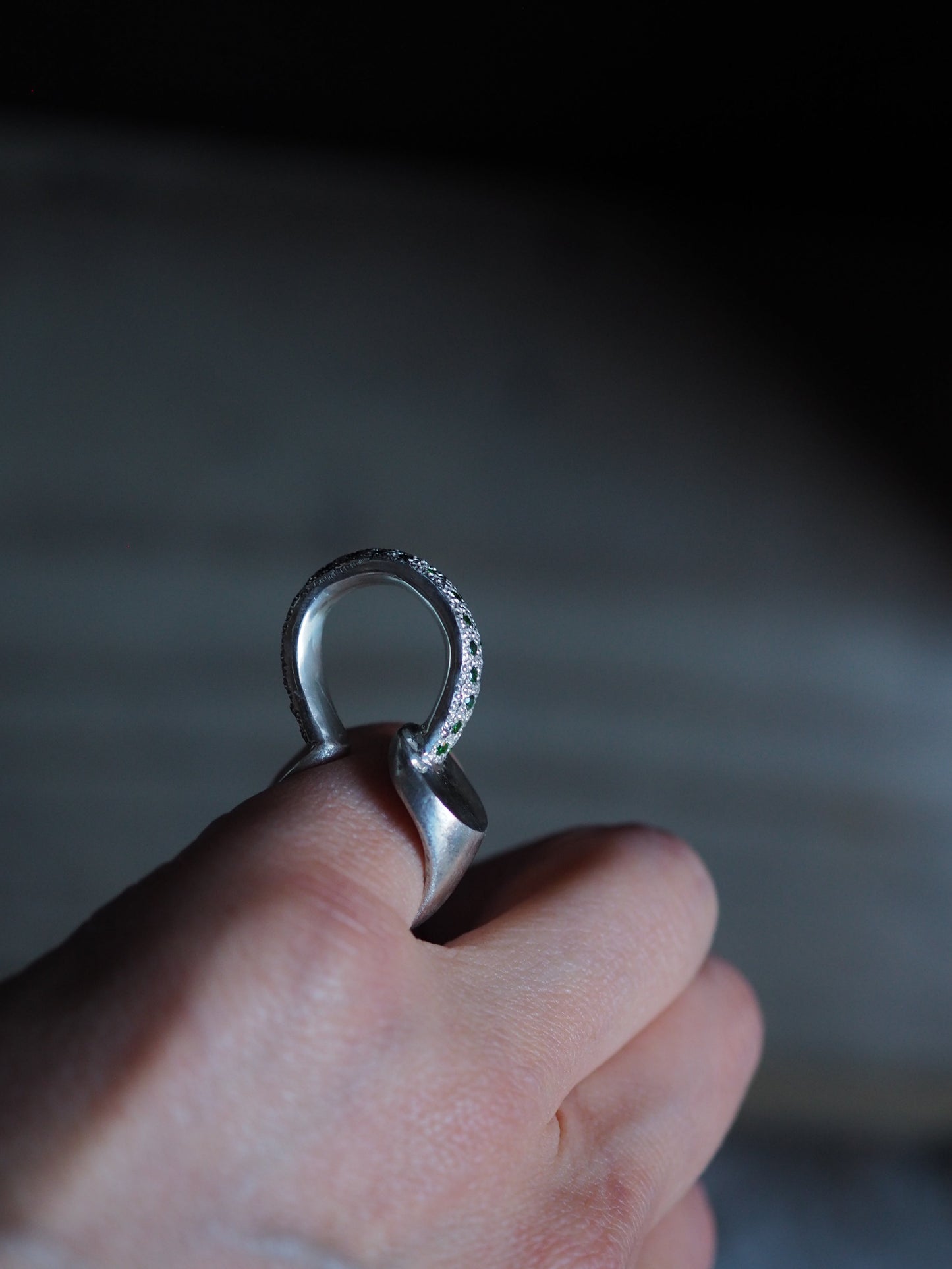 Collection 5 - Ring.8