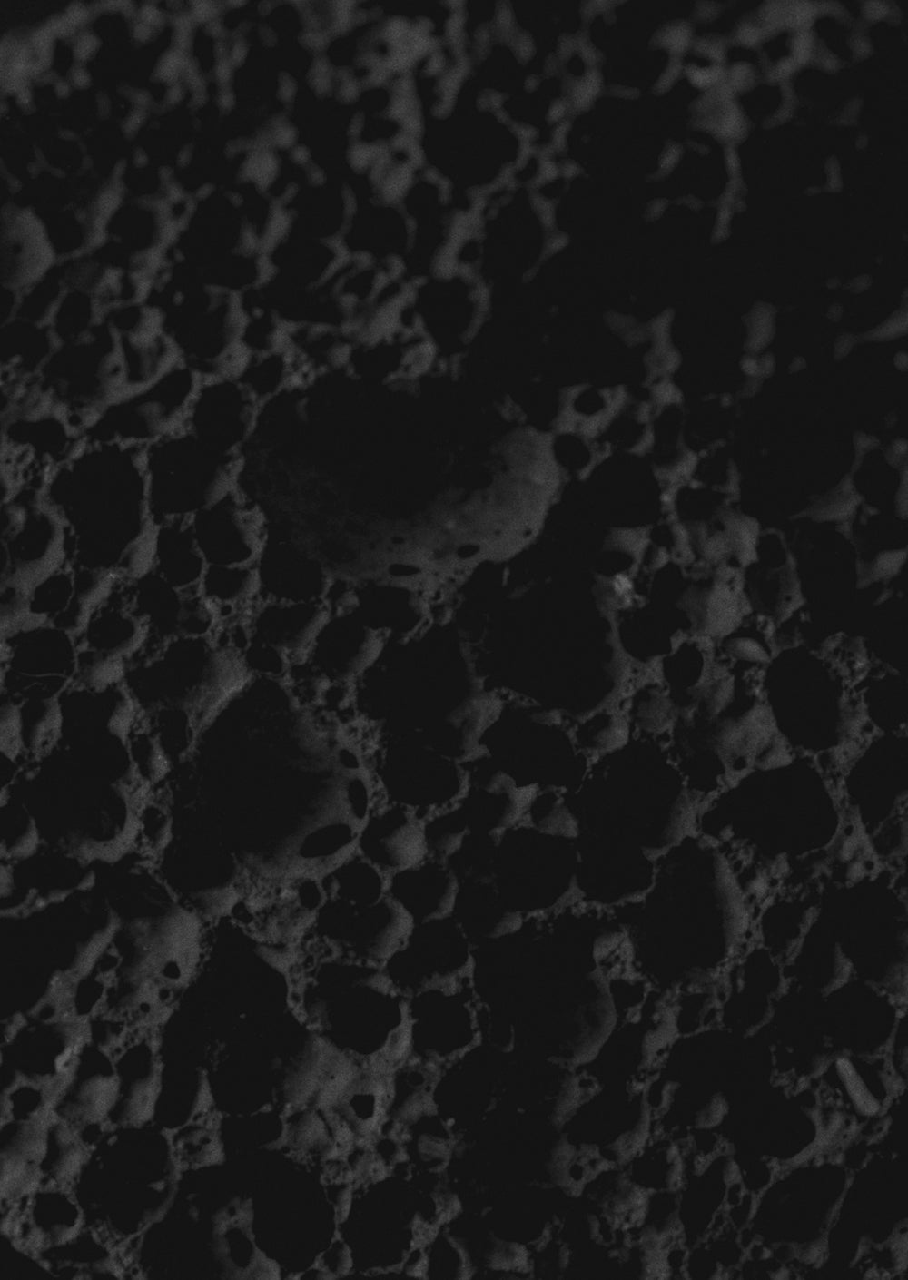 Public Record x Sari - PR VII, Perfum D'ambience launch - Gallery Image