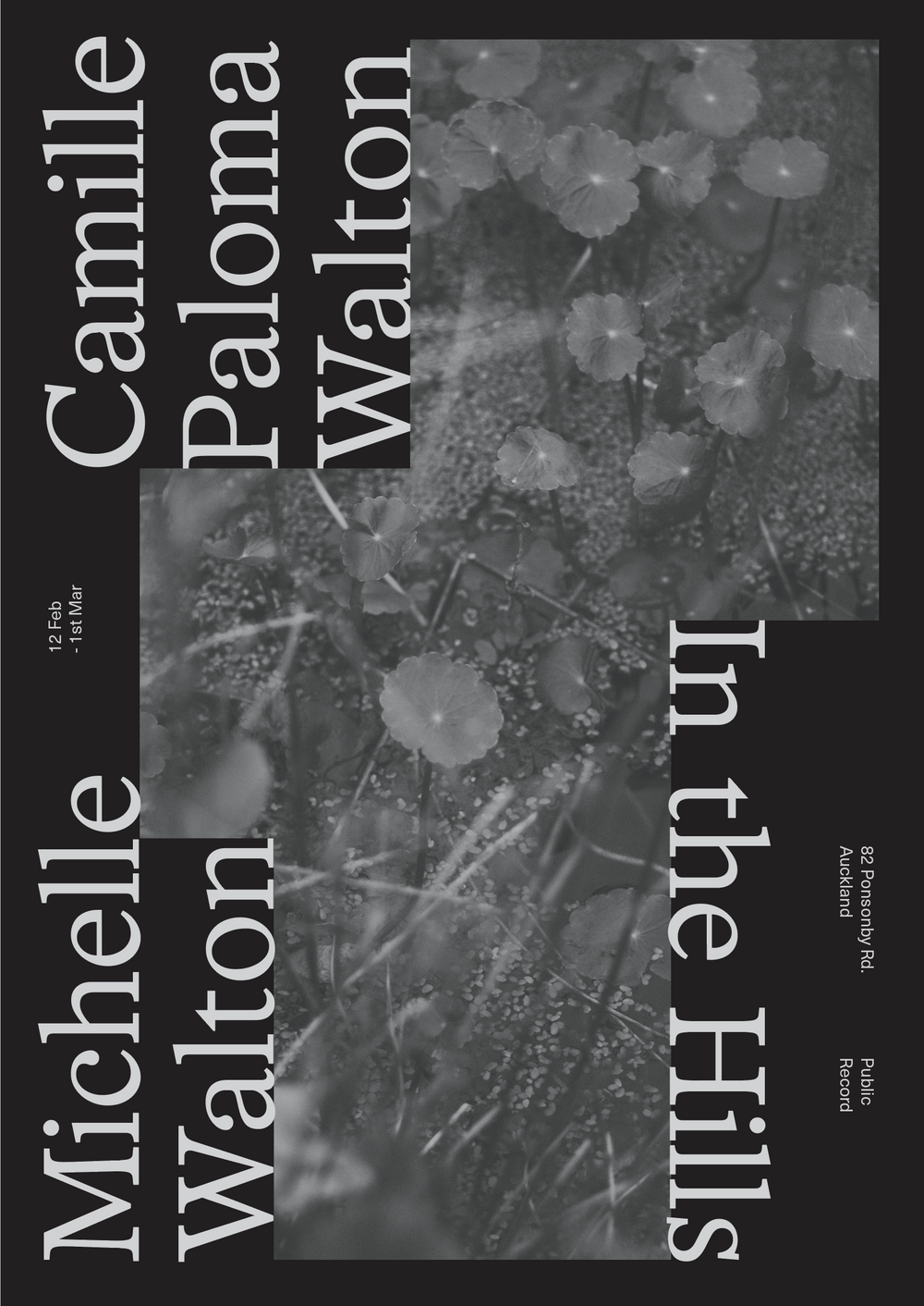 In The Hills by Camille Paloma Walton & Michelle Walton - Gallery Image