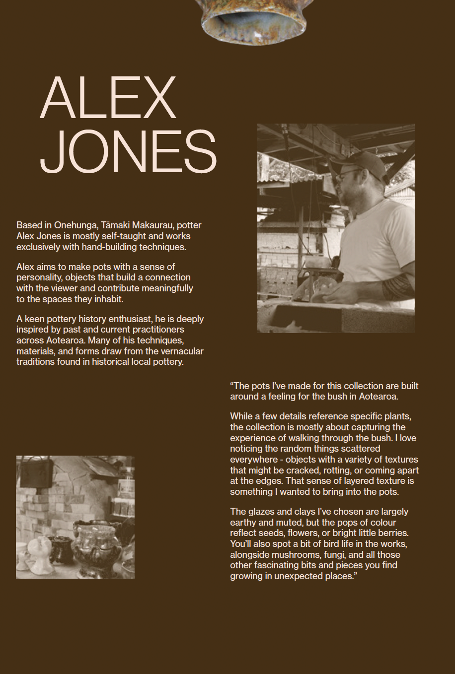 Alex Jones - The Bush in My Head - Gallery Image