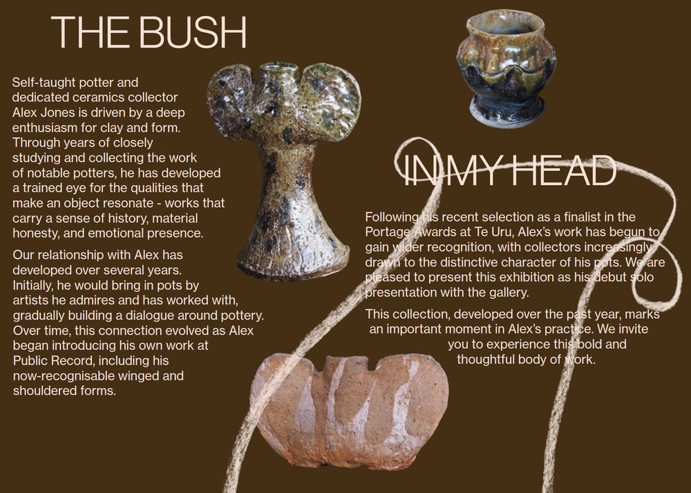 Alex Jones - The Bush in My Head - Gallery Image