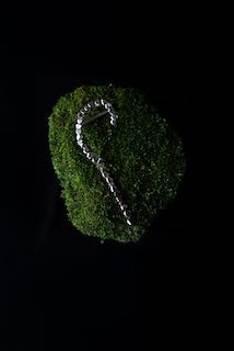 Pebble Ear Piece #1