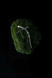 Twig in the Web Ear Piece