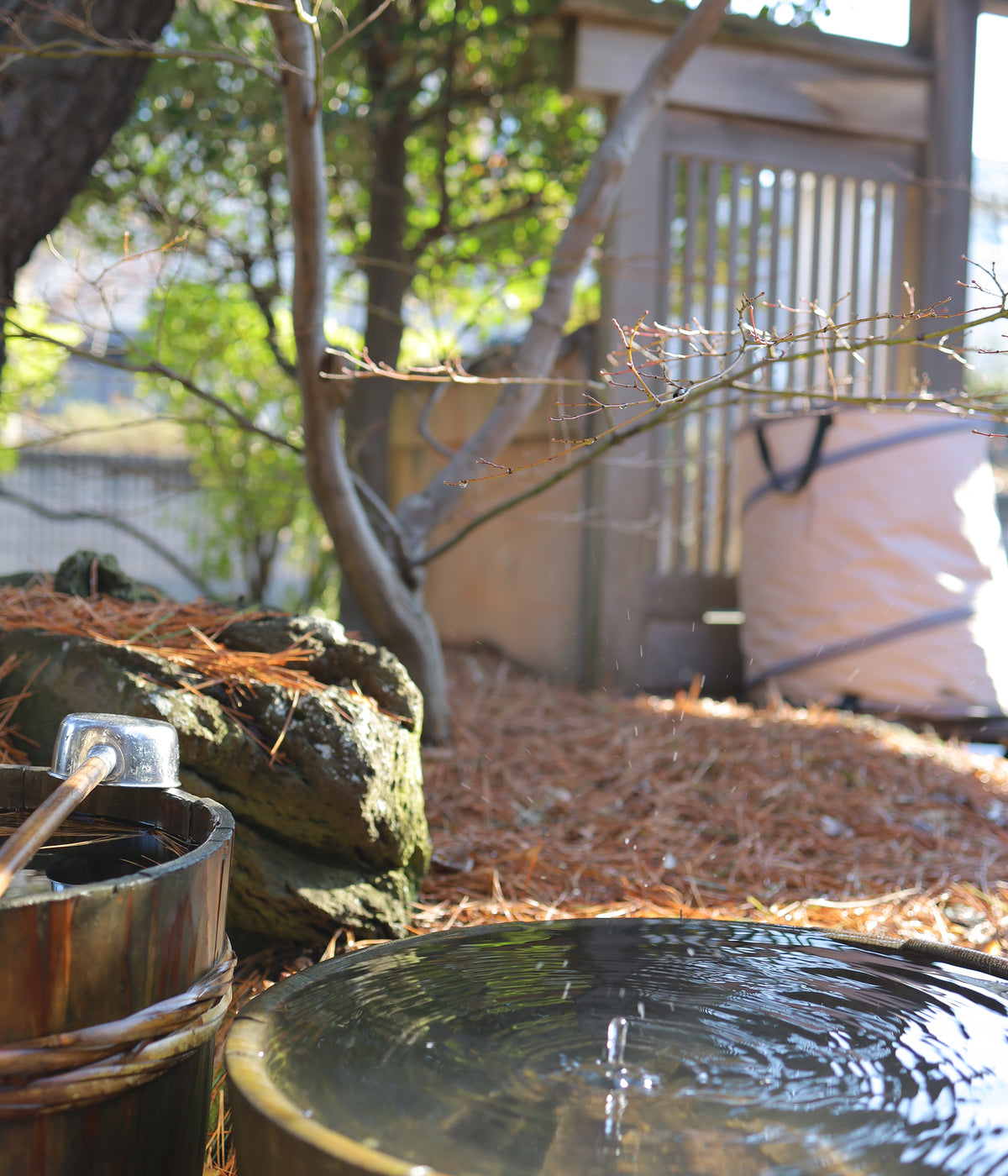 Shun Kumagai - April 26' - Gallery Image