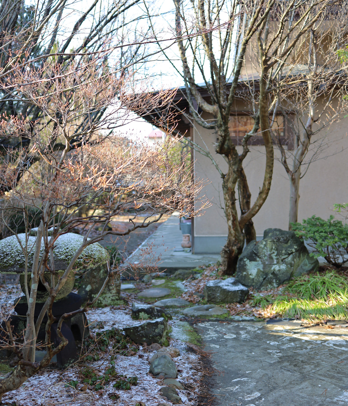 Shun Kumagai - April 26' - Gallery Image