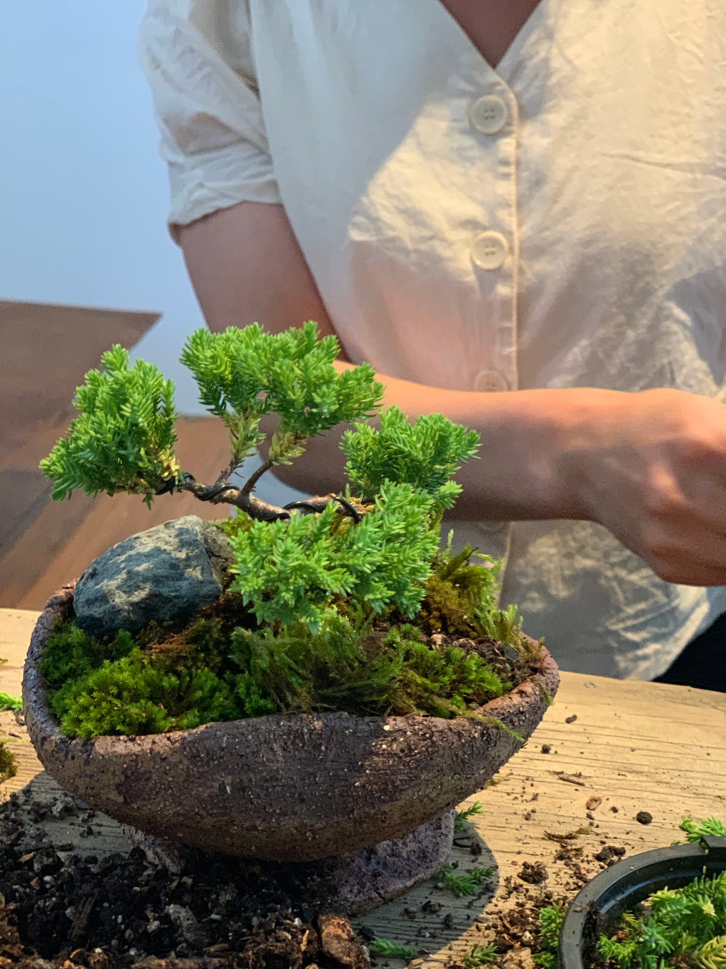 Bonsai Workshop With Kristen Calder's Pot - 22th Feb 26'