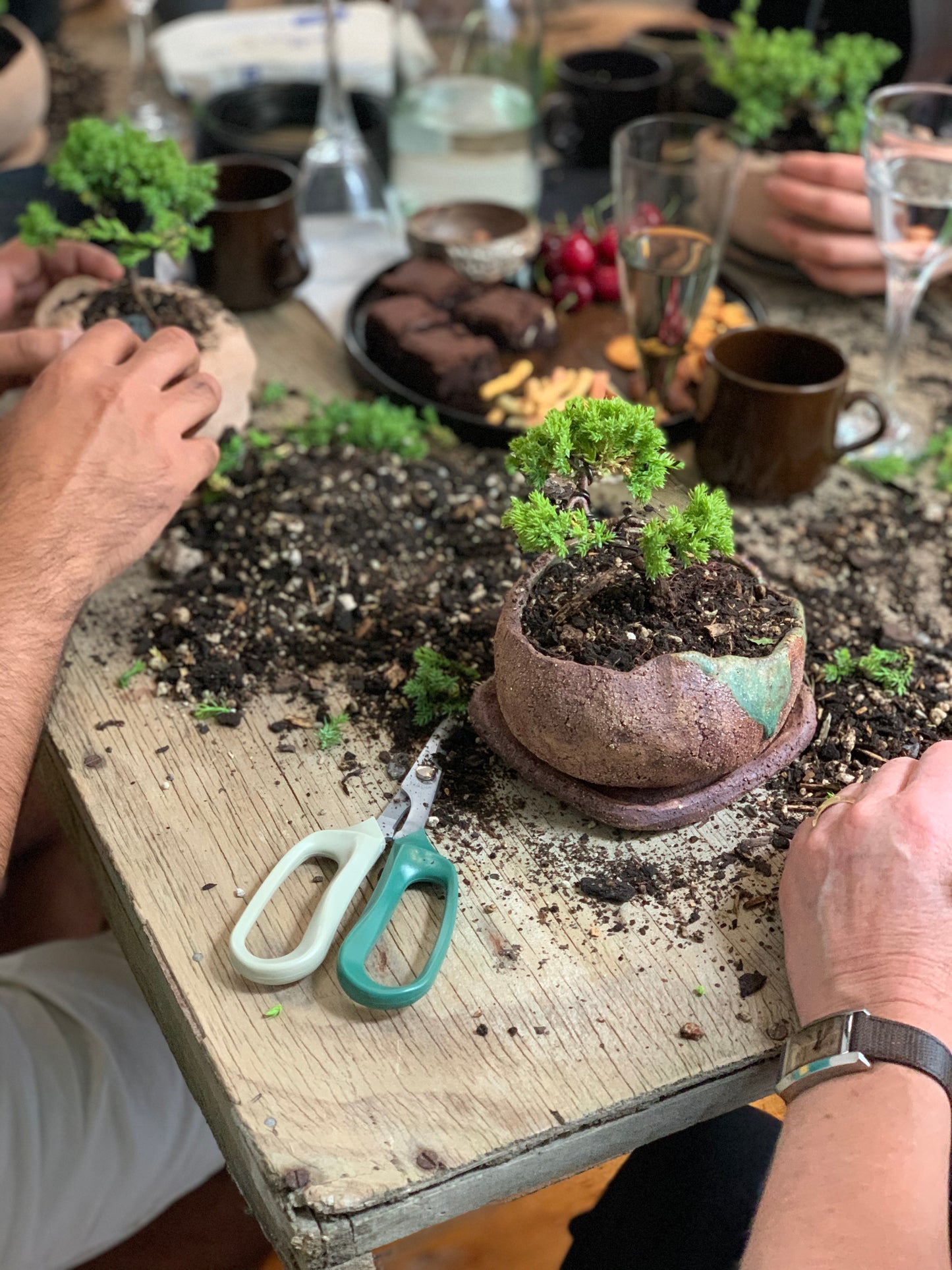 Bonsai Workshop With Kristen Calder's Pot - 22th Feb 26'